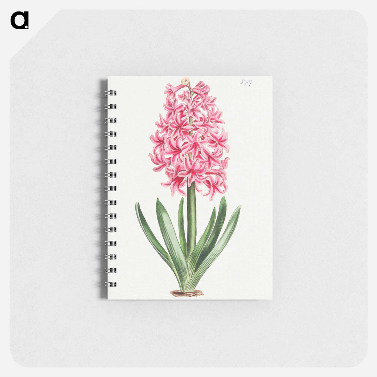 アートメモ帳-Garden Hyacinth
 - クリーブランド美術館 Memo.