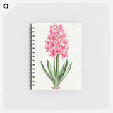 アートメモ帳-Garden Hyacinth
 - クリーブランド美術館 Memo.