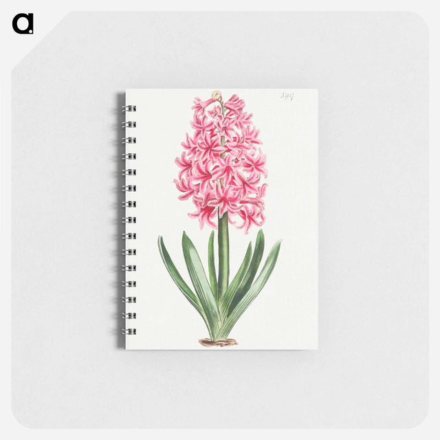 アートメモ帳-Garden Hyacinth
 - クリーブランド美術館 Memo.