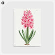 アートポストカード-Garden Hyacinth
 - クリーブランド美術館 Postcard.