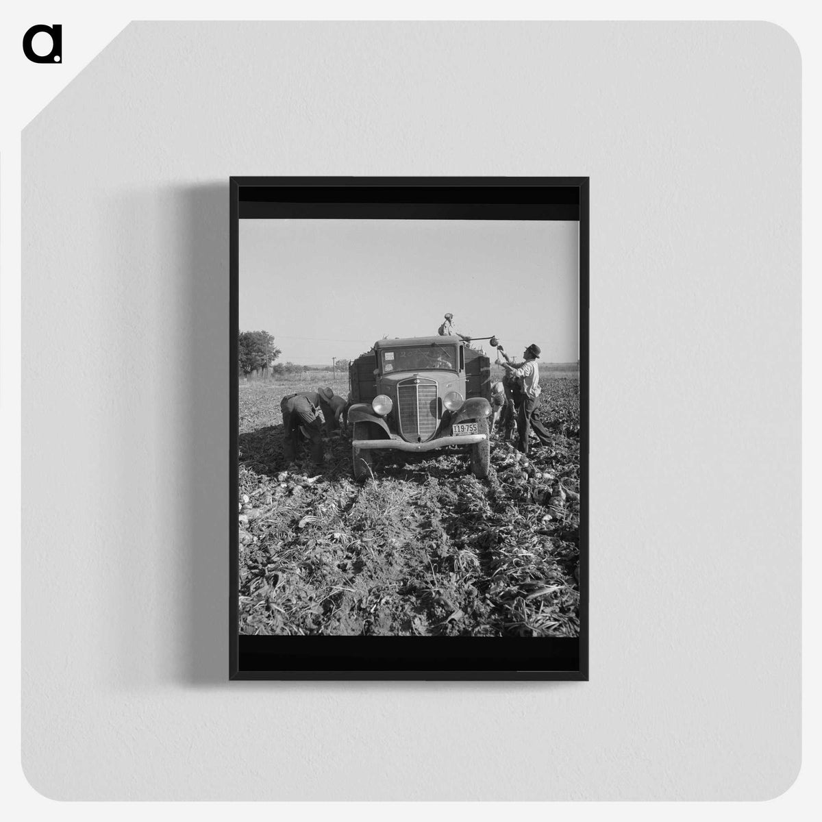 2-85_Dorothea-Lange_blk-crop