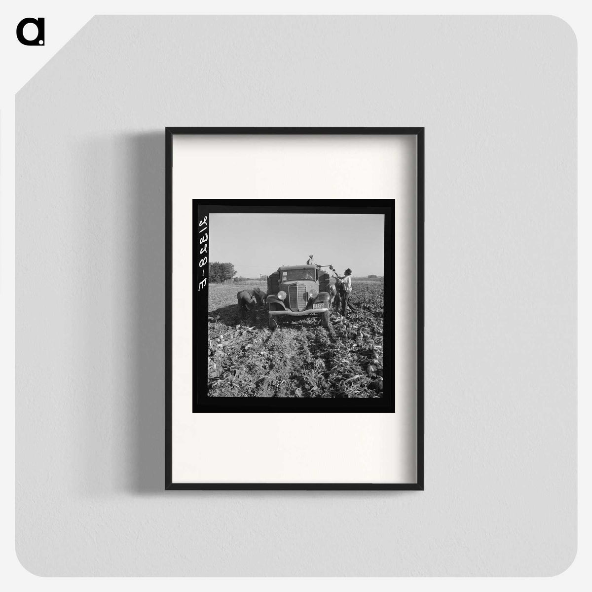 2-85_Dorothea-Lange_blk