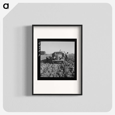 2-85_Dorothea-Lange_blk