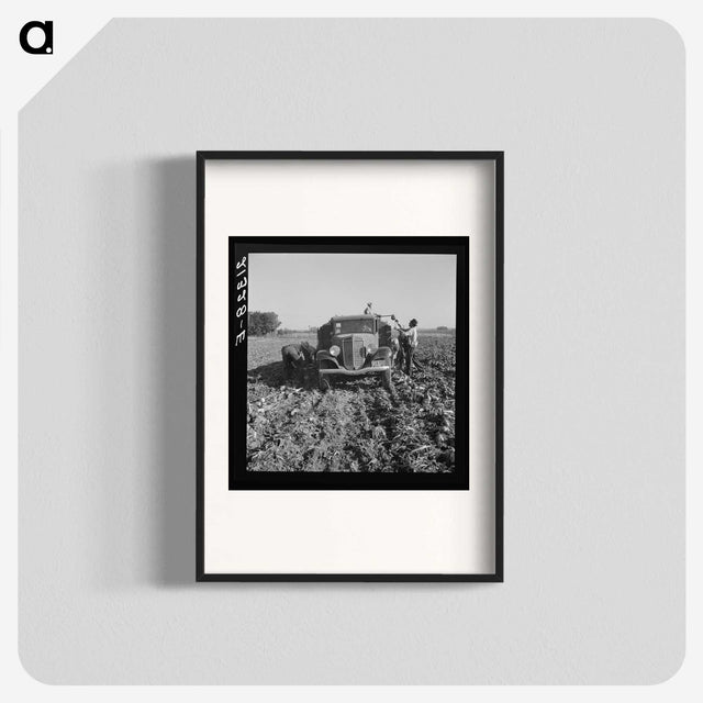 2-85_Dorothea-Lange_blk