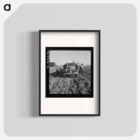 アートポスター-Loading truck in sugar beet field - ドロテア ラング Poster.