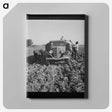 2-85_Dorothea-Lange_canvas