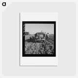 2-85_Dorothea-Lange_hagaki