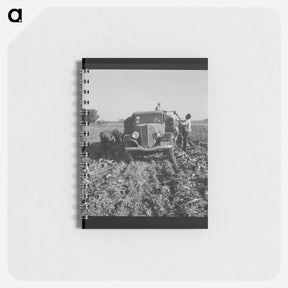 アートメモ帳-Loading truck in sugar beet field - ドロテア ラング Memo.