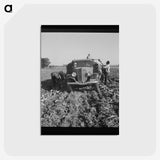 2-85_Dorothea-Lange_postcard