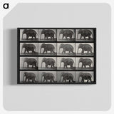 2-85_Eadweard-Muybridge_blk-crop