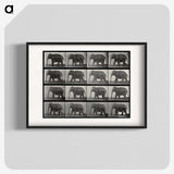 2-85_Eadweard-Muybridge_blk
