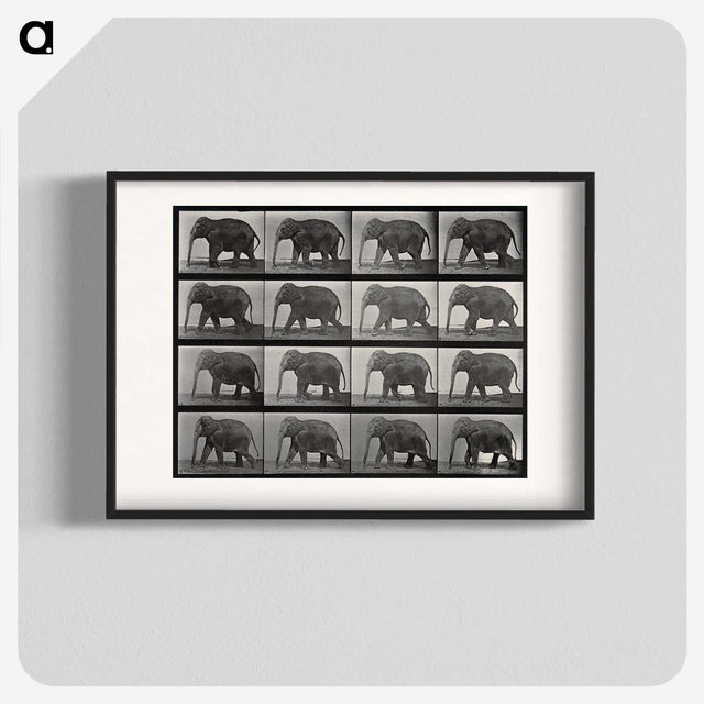 2-85_Eadweard-Muybridge_blk