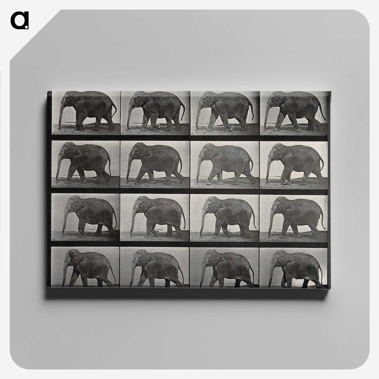 2-85_Eadweard-Muybridge_canvas