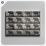 2-85_Eadweard-Muybridge_canvas