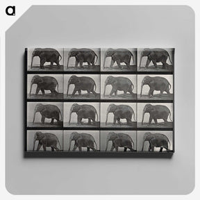 2-85_Eadweard-Muybridge_canvas