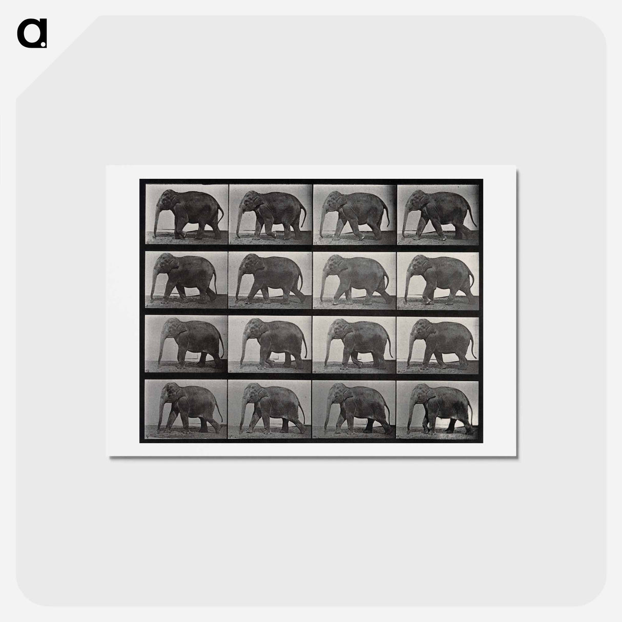 アートポストカード-Elephant Walking
 - エドワード マイブリッジ Postcard.