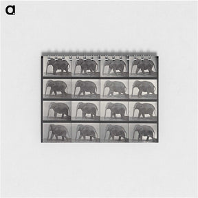 2-85_Eadweard-Muybridge_memo