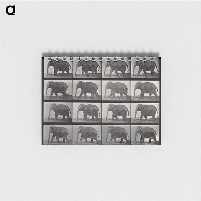 2-85_Eadweard-Muybridge_memo
