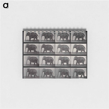 アートメモ帳-Elephant Walking
 - エドワード マイブリッジ Memo.