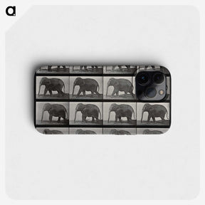 2-85_Eadweard-Muybridge_phone