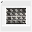 2-85_Eadweard-Muybridge_picture