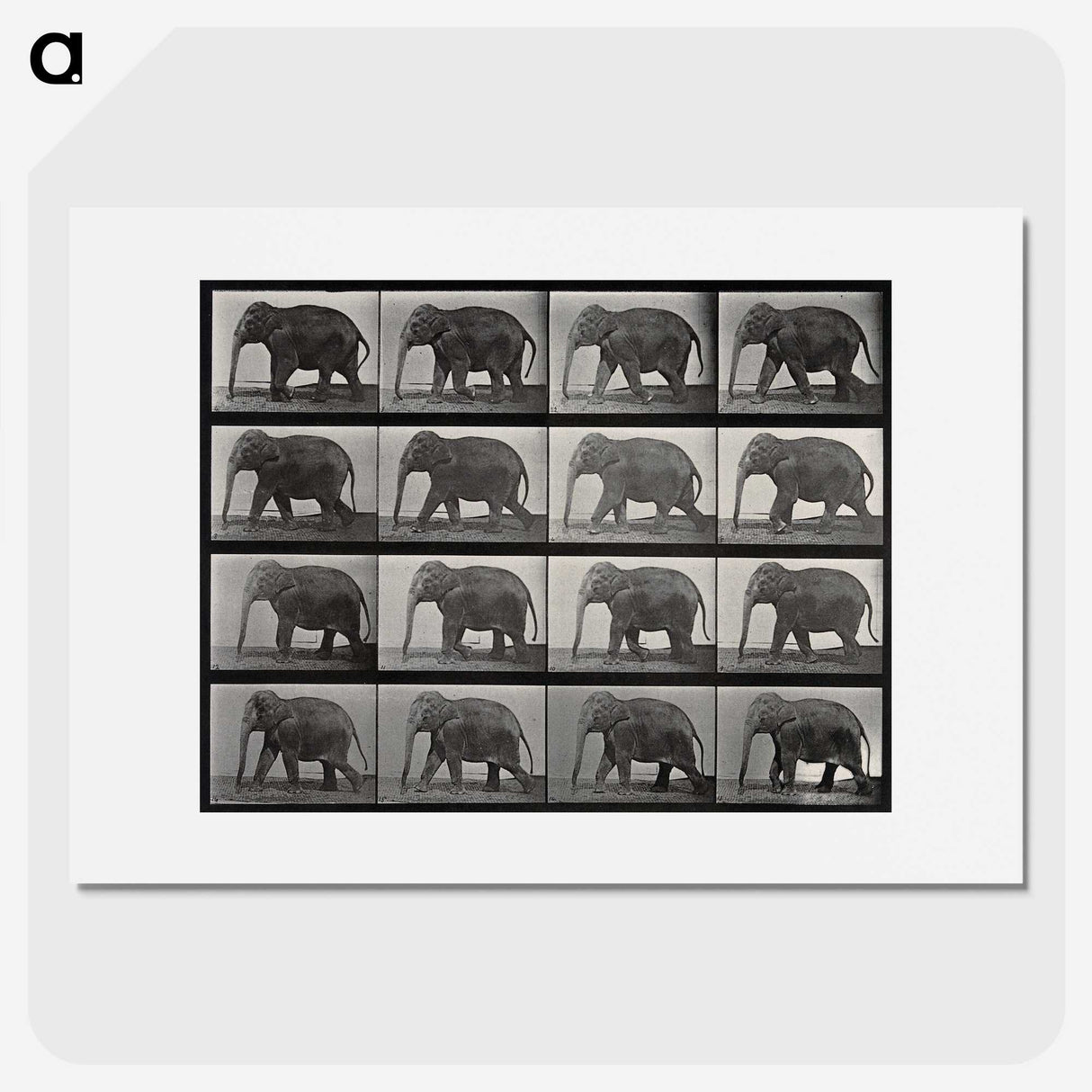 2-85_Eadweard-Muybridge_picture