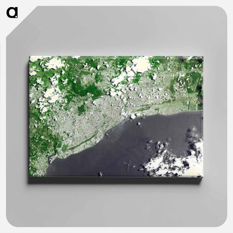 アートパネル-Santo Domingo, Dominican Republic
 - 上空からの地球 Canvas.