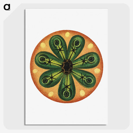 2-85_Ernst-Haeckel_picture-crop