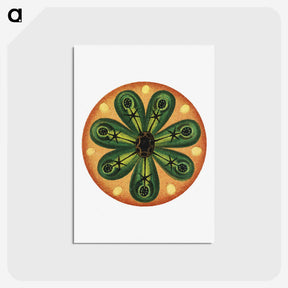 2-85_Ernst-Haeckel_postcard