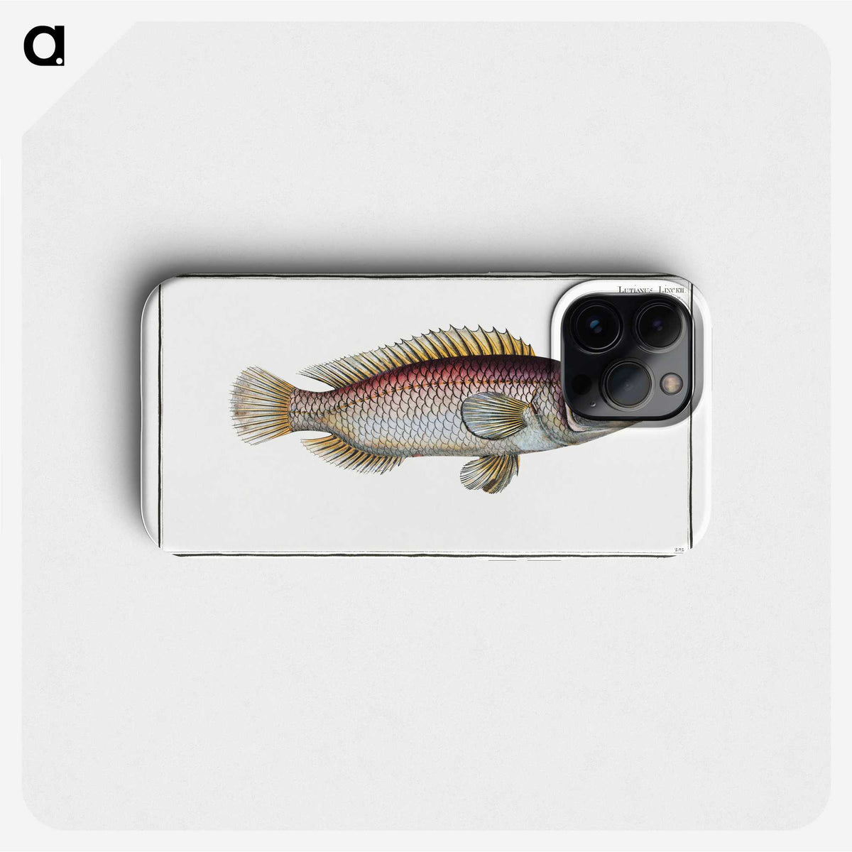 2-85_Ichtyologie-ou-Histoire-naturelle_phone