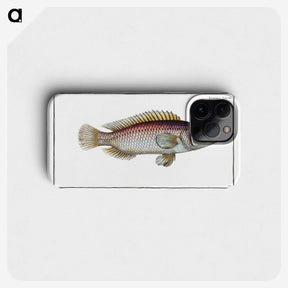 2-85_Ichtyologie-ou-Histoire-naturelle_phone