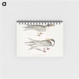 2-85_Indian-Zoology_memo