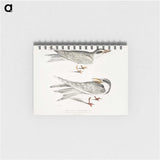 2-85_Indian-Zoology_memo