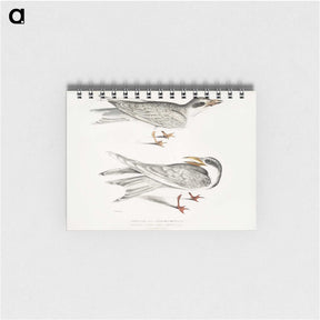 2-85_Indian-Zoology_memo