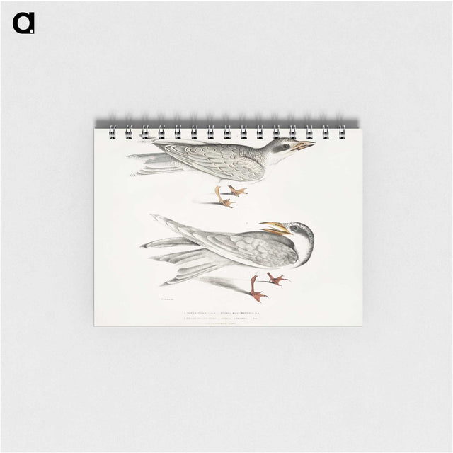 2-85_Indian-Zoology_memo