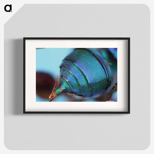 2-85_Insects-Unlocked-Project_blk