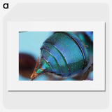 2-85_Insects-Unlocked-Project_picture
