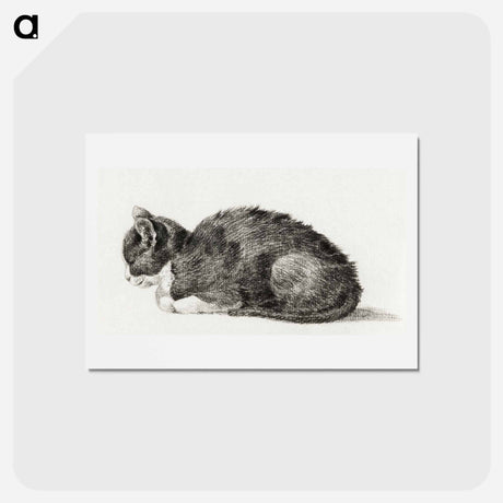 アートポストカード-Lying cat - ジャン ベルナール Postcard.