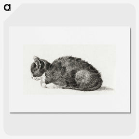 2-85_Jean-Bernard_picture