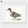 2-85_Johan-Teyler_picture