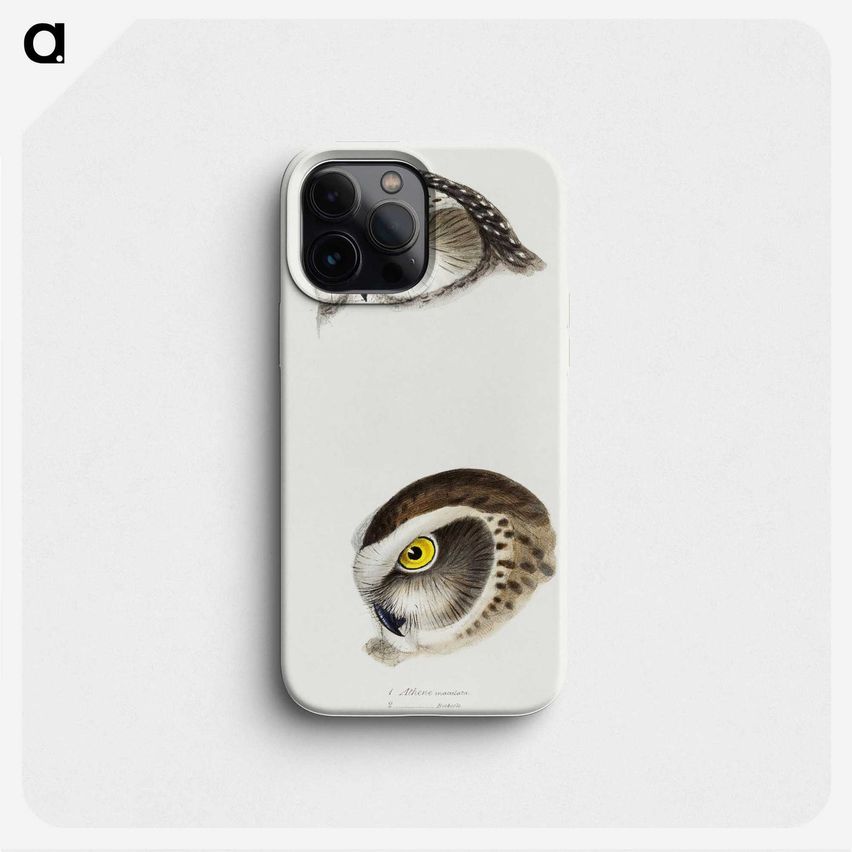 2-85_John-Gould_phone