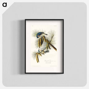 アートポスター-Crested Titmouse
 - ジョン ジェームス オーデュボン Poster.