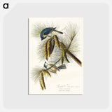 アートポストカード-Crested Titmouse
 - ジョン ジェームス オーデュボン Postcard.