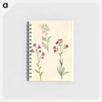 アートメモ帳-Cardamine pratensis, Campanula rotundifolia, and Silene vulgaris
 - マリア ジビーラ メーリアン Memo.
