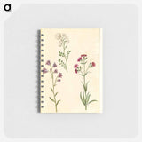 アートメモ帳-Cardamine pratensis, Campanula rotundifolia, and Silene vulgaris
 - マリア ジビーラ メーリアン Memo.