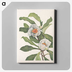 2-85_Mary-Vaux-Walcott_canvas