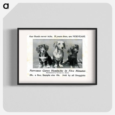 アートポスター-Advertisement for Nervease Featuring Three Dogs
 - 国立医学図書館 Poster.
