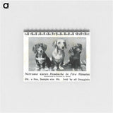 アートメモ帳-Advertisement for Nervease Featuring Three Dogs
 - 国立医学図書館 Memo.
