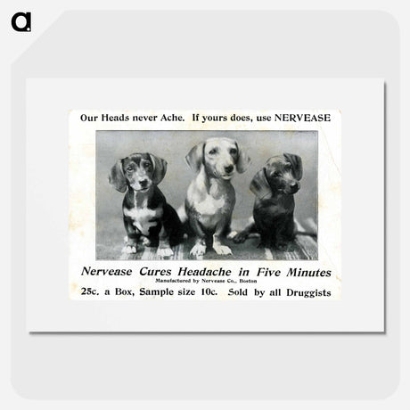 アートポスター-Advertisement for Nervease Featuring Three Dogs
 - 国立医学図書館 Poster.