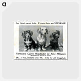 アートポストカード-Advertisement for Nervease Featuring Three Dogs
 - 国立医学図書館 Postcard.